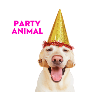 Party animal!